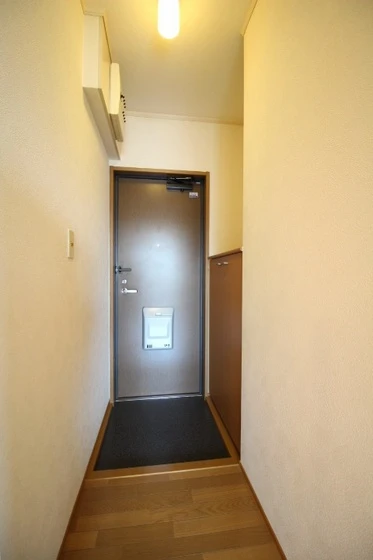 ハイムアネシス