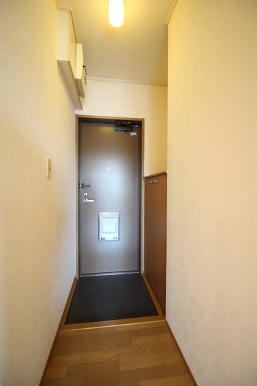 ハイムアネシス