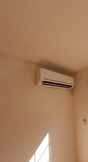 プリムローズ・S