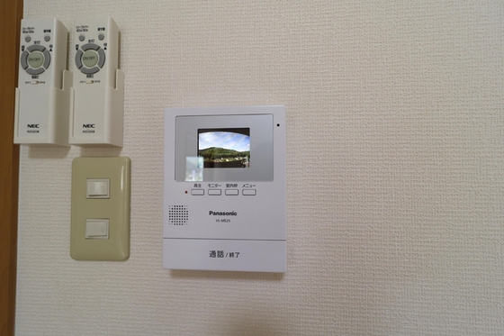 ピュアステージⅤ