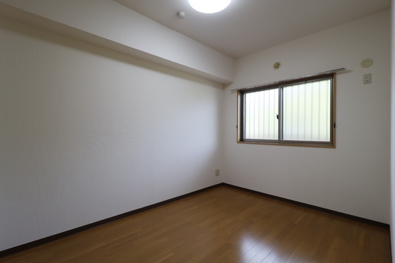 ピュアステージⅤ