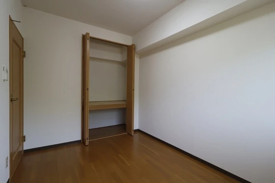 ピュアステージⅤ