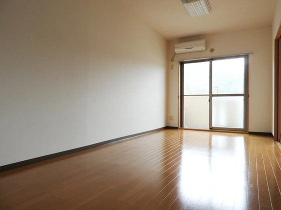 ピュアステージⅤ