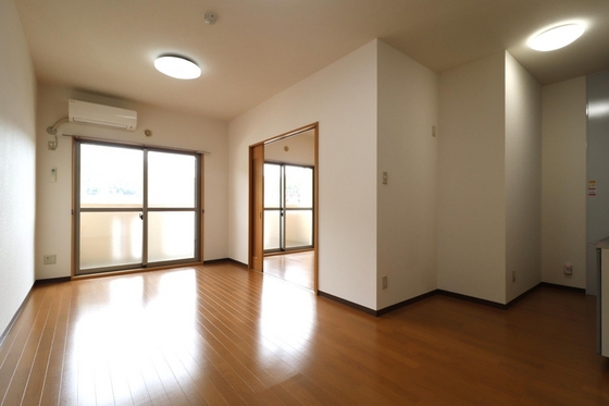 ピュアステージⅤ