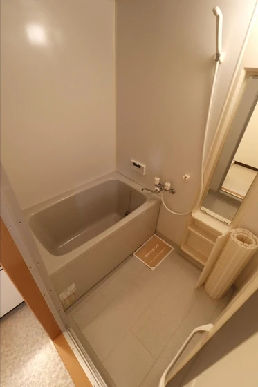 ピュアステージⅤ