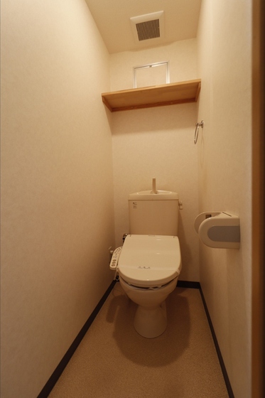 ピュアステージⅤ