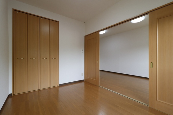 ピュアステージⅤ