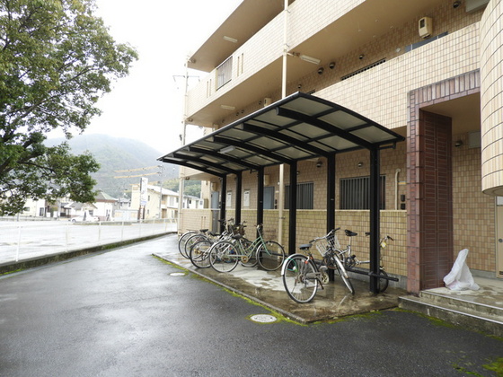 ピュアステージⅤ