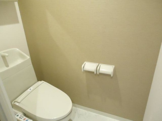 ルミナスハイムⅢ