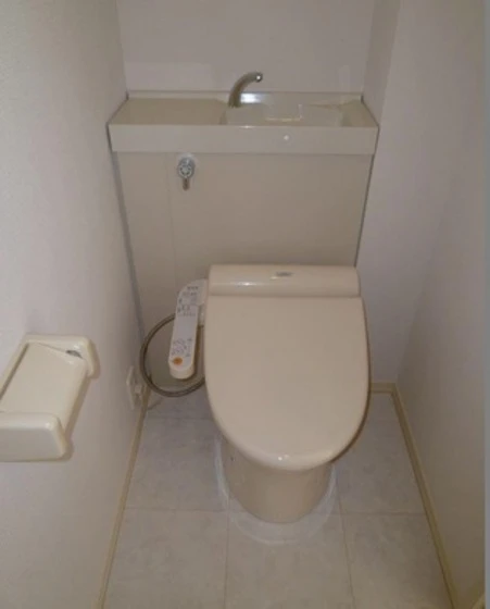 プロフェッサS&Y