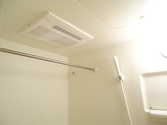 ビア・ラッテア