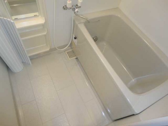 ビア・ラッテア