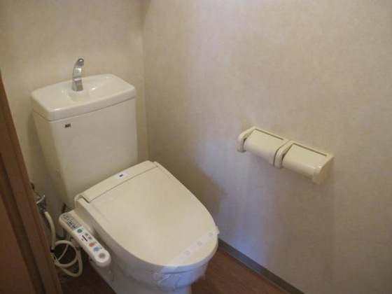 ビア・ラッテア