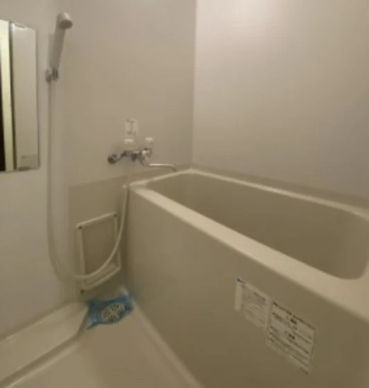 アルトハイデⅢ