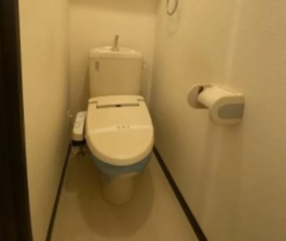 アルトハイデⅢ