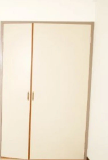 ミラドール津島