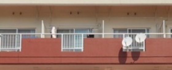 マンションサクセス