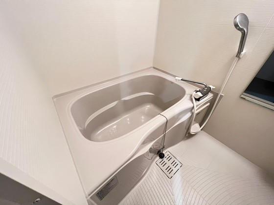 ザ・コーシン東原