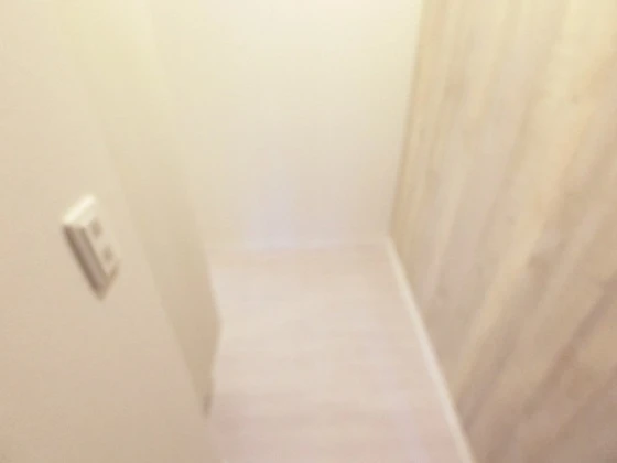 メゾン・ド・シュシュ