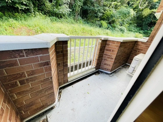 シェーンブルンB