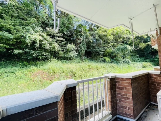 シェーンブルンB