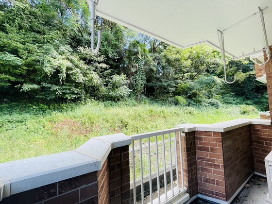 シェーンブルンB