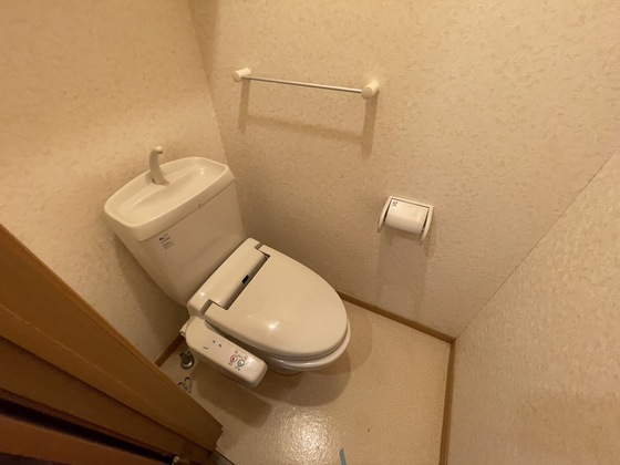 シェーンブルンB