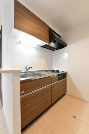 Regalest SenaⅠ(レガリスト セナ ワン)