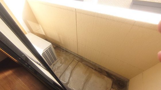 エクセレンス祇園