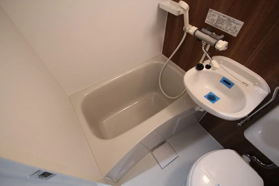 ※別部屋の写真です