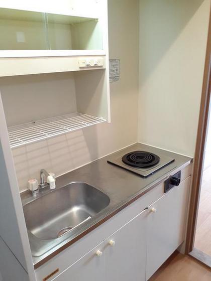 ニューシティサルビア