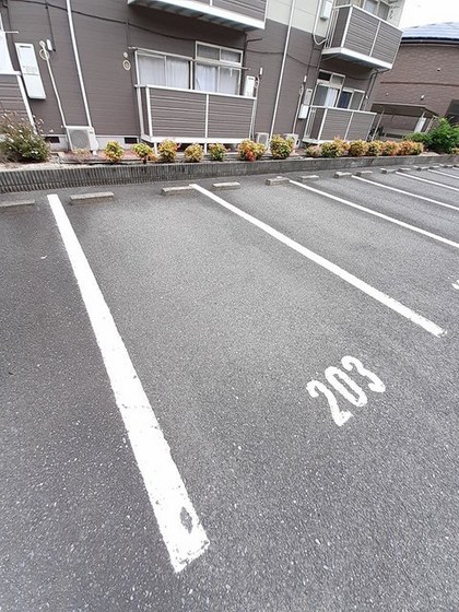 ニューシティアルカディア