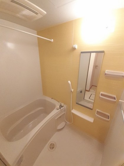 トゥルーランド錦 C