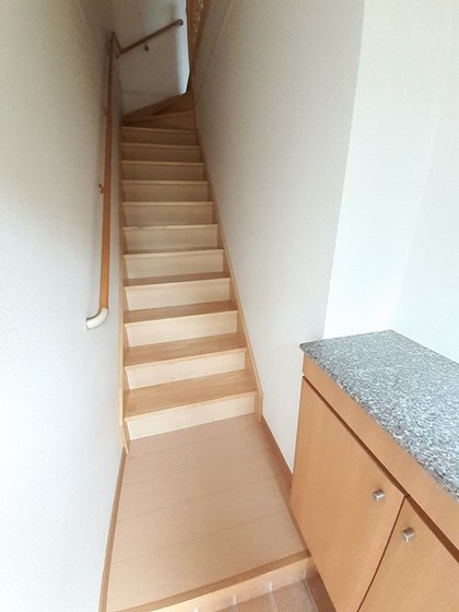 トゥルーランド錦 C