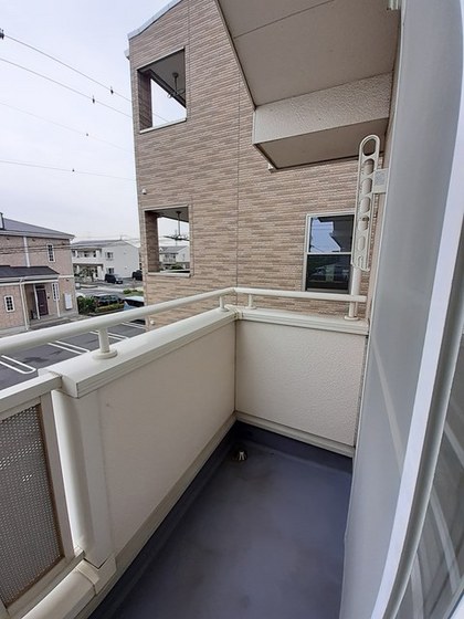 トゥルーランド錦 C