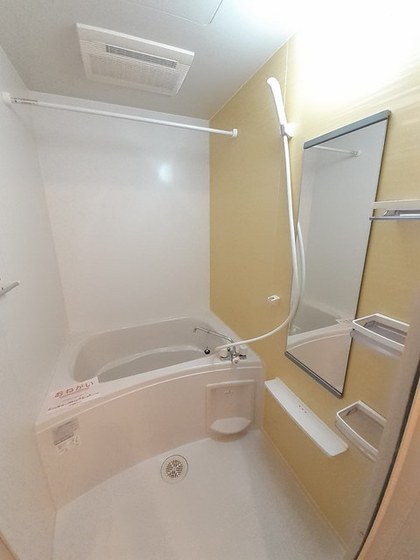 トゥルーランド錦 C