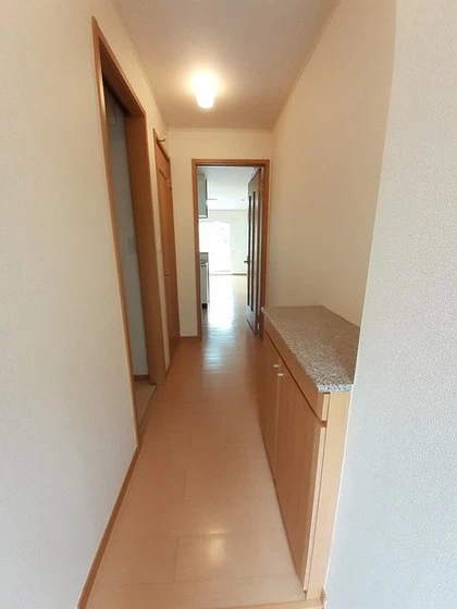 トゥルーランド錦 C