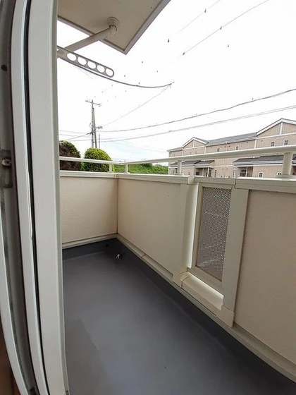 トゥルーランド錦 C