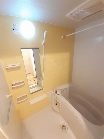 トゥルーランド錦 C