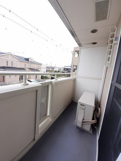 トゥルーランド錦 C