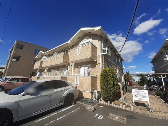 トゥルーランド錦 C