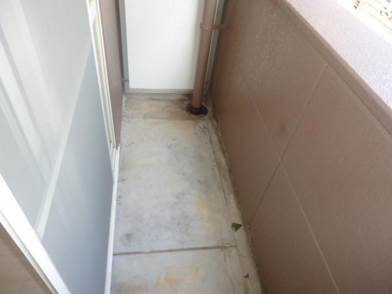 キャンベルハイム