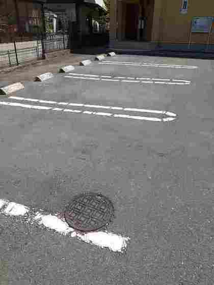 ダイヤモンド・ロジェ