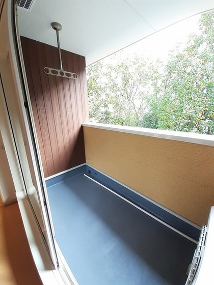 ダイヤモンド・ロジェ