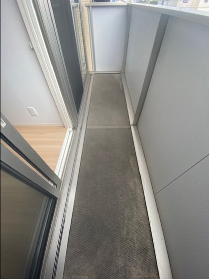 ラフィーネ下中野C棟