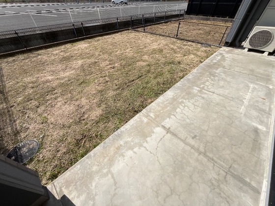 ブルーダイヤモンド