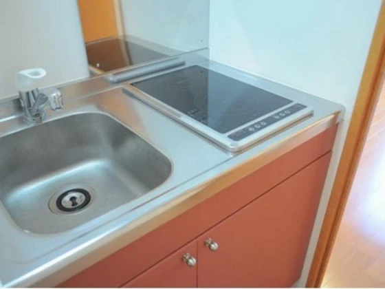 レオパレスコスモスⅡ