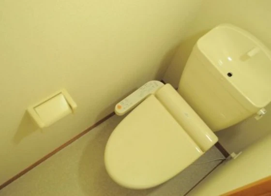 レオパレスコスモスⅡ