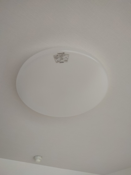 ギャラリーコート