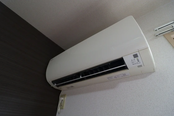 セジュール光永